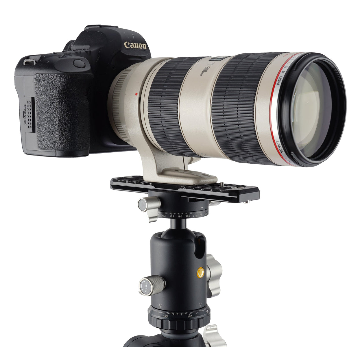 Vanguard QS 150 Pro - Zapata larga