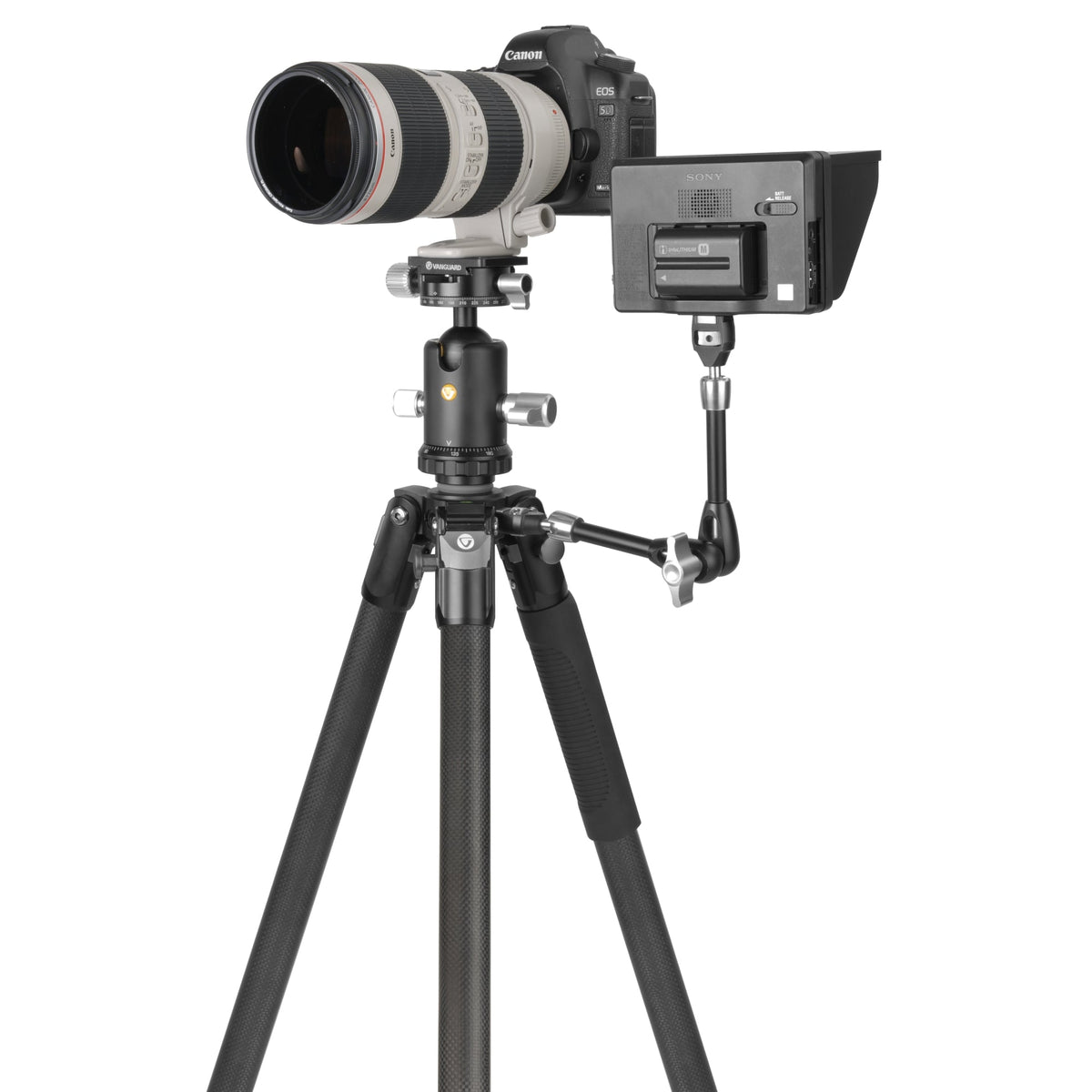 Vanguard Veo 3 303CB - Trípode de carbono, rótula de bola 2 ejes