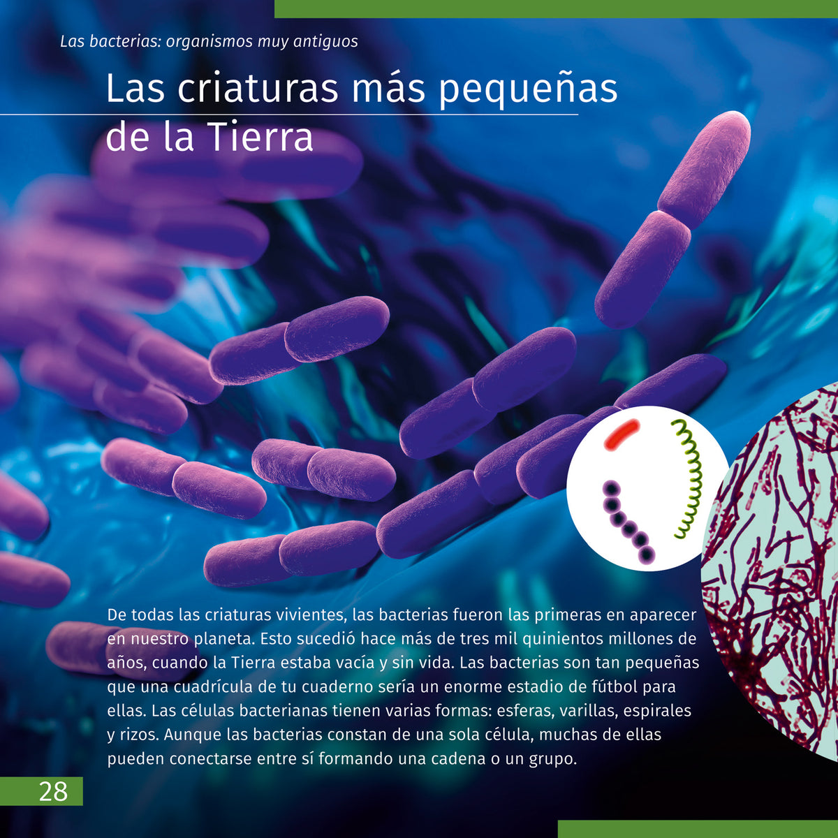 Libro enciclopédico «Space. Microworld.» (Espacio y microcosmos), edición de dos volúmenes. Tapa dura