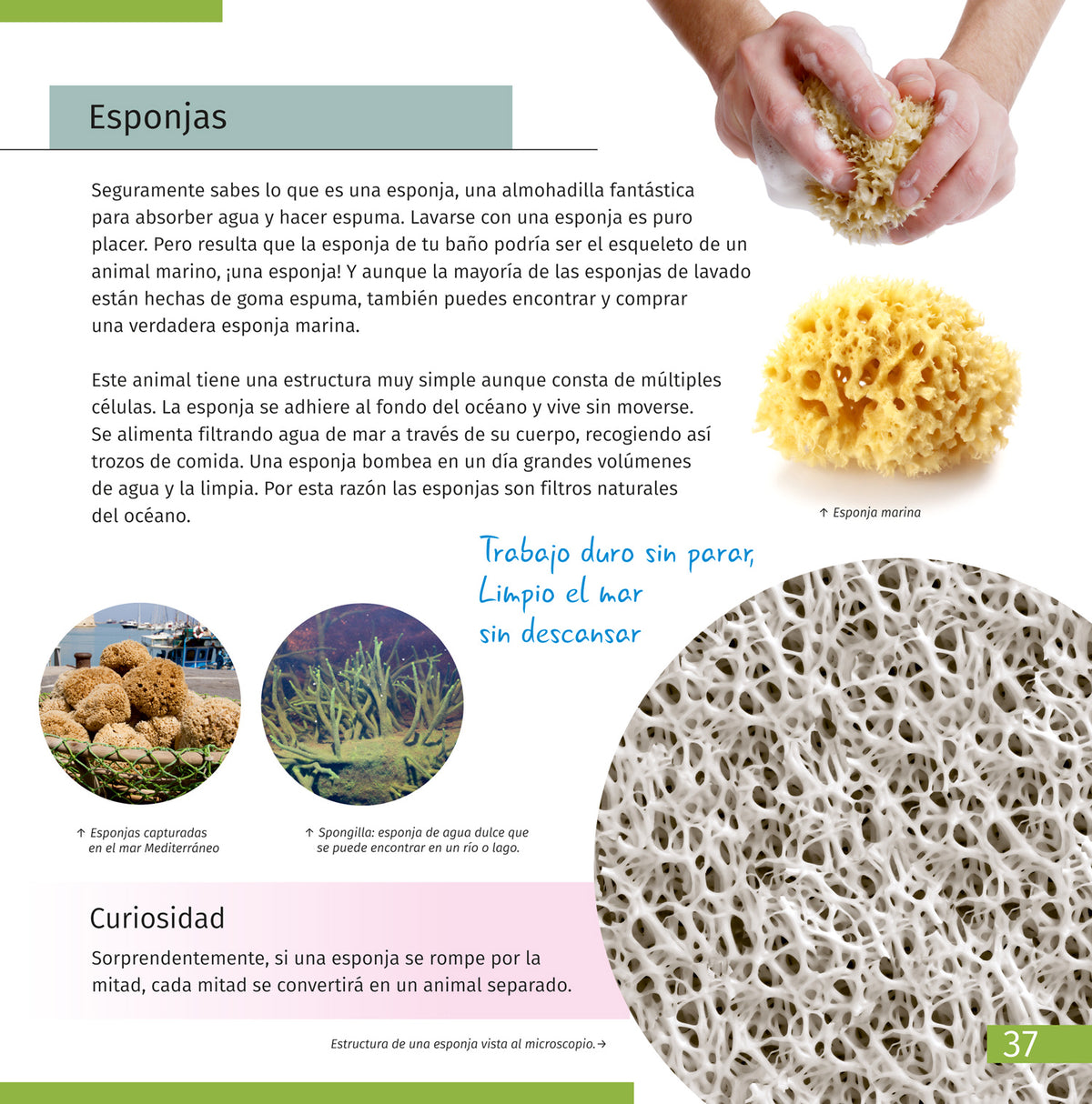 Libro enciclopédico «Space. Microworld.» (Espacio y microcosmos), edición de dos volúmenes. Tapa dura