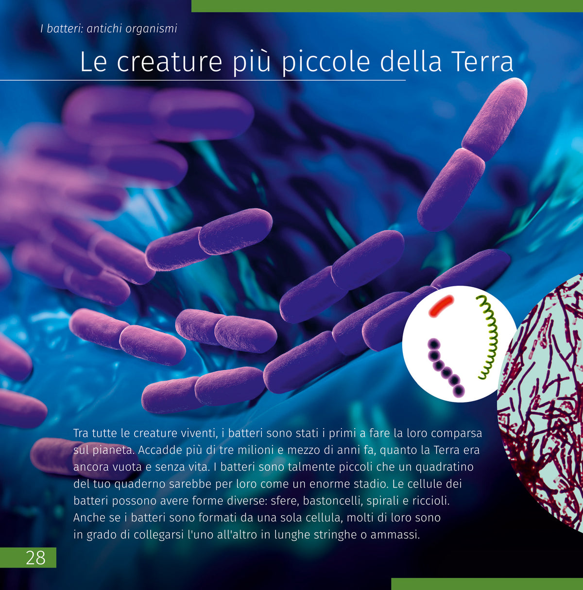 Libro enciclopédico «Space. Microworld.» (Espacio y microcosmos), edición de dos volúmenes. Tapa dura