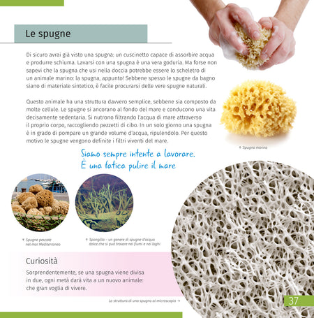 Libro enciclopédico «Space. Microworld.» (Espacio y microcosmos), edición de dos volúmenes. Tapa dura