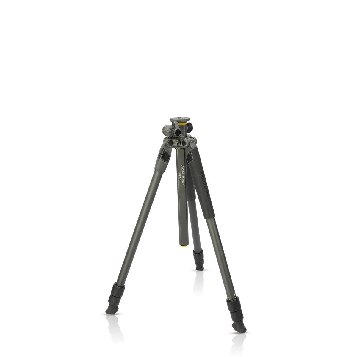 Vanguard Alta Pro 2+ 263AP - Trípode de aluminio, rótula de 3 vías