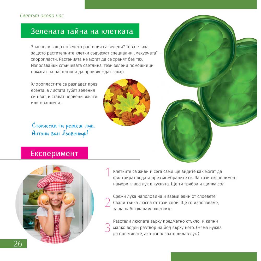 Invisible World (el mundo invisible). El libro educativo. Tapa dura