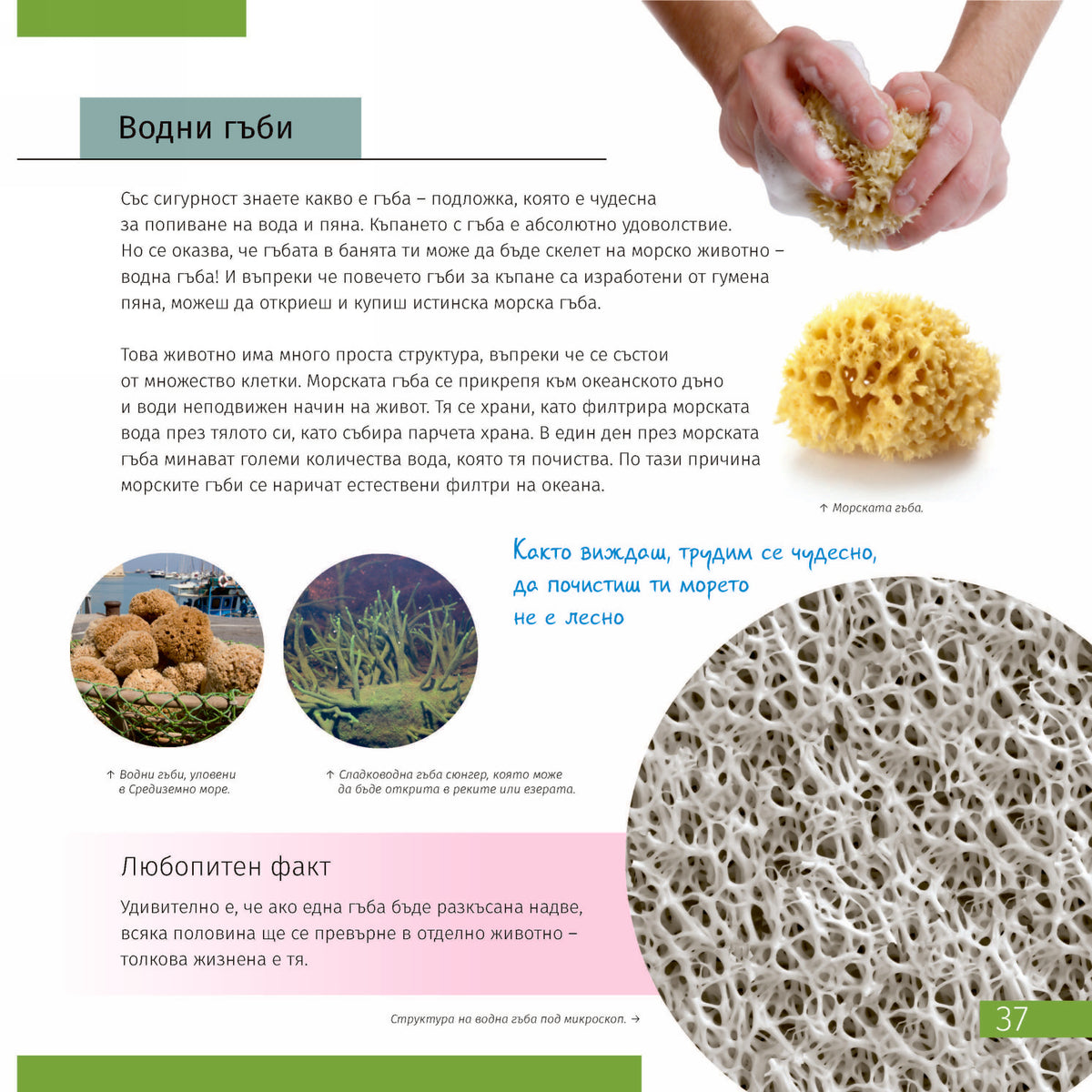 Invisible World (el mundo invisible). El libro educativo. Tapa dura