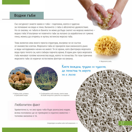 Invisible World (el mundo invisible). El libro educativo. Tapa dura