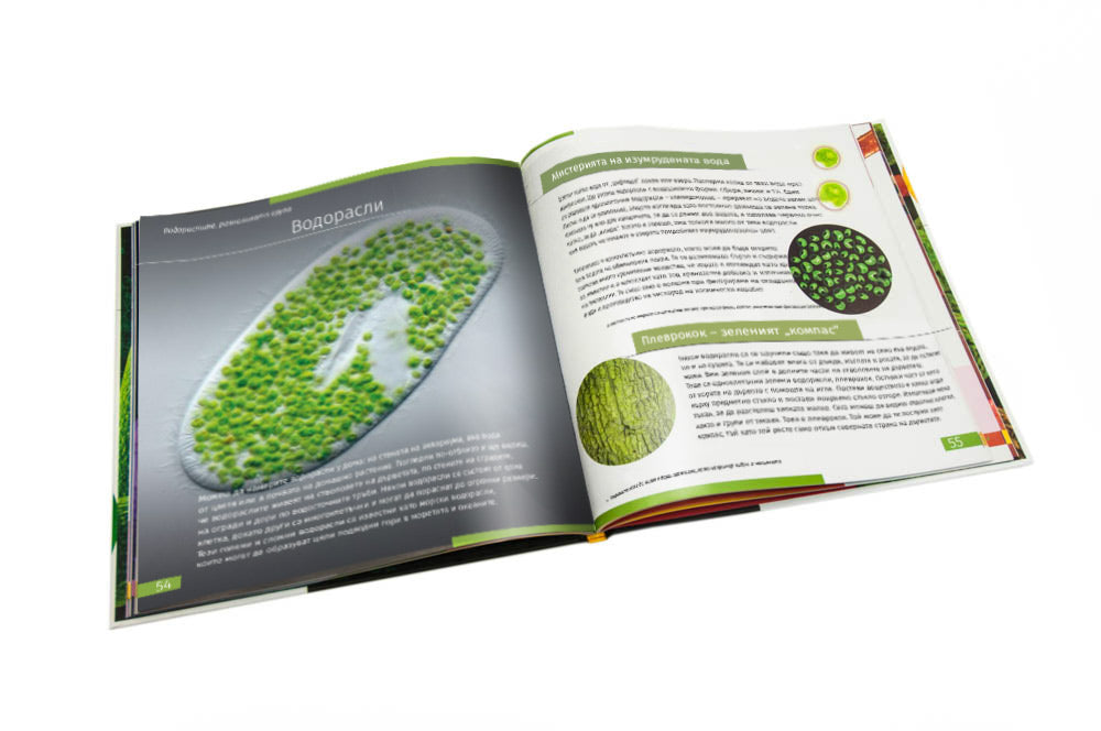 Invisible World (el mundo invisible). El libro educativo. Tapa dura