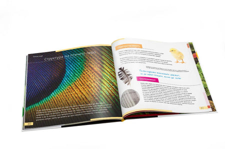 Invisible World (el mundo invisible). El libro educativo. Tapa dura