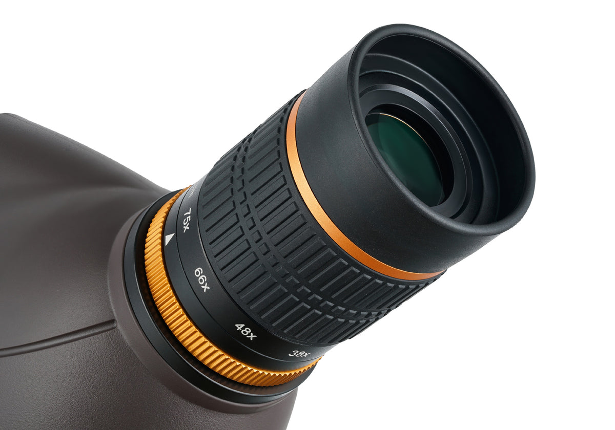 Catalejo Levenhuk Blaze PRO 100