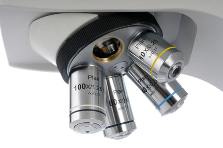 Microscopio trinocular digital Levenhuk MED D40T LCD