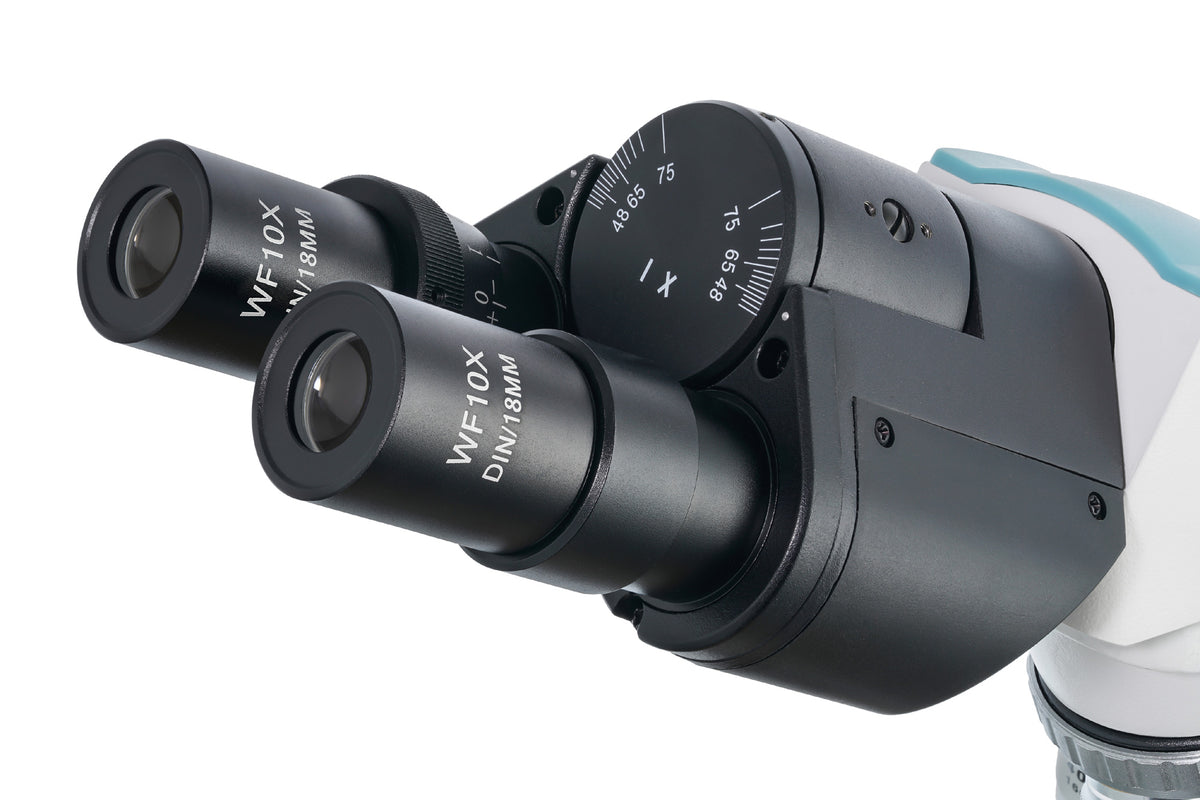 Microscopio binocular Levenhuk 500B
