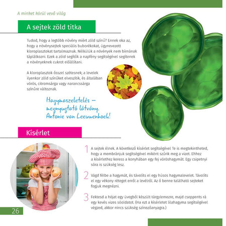 Invisible World (el mundo invisible). El libro educativo. Tapa dura