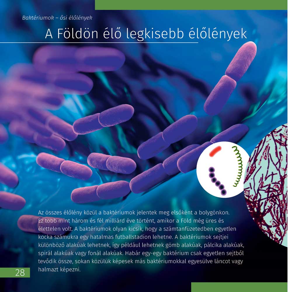 Invisible World (el mundo invisible). El libro educativo. Tapa dura