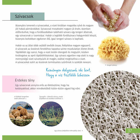 Invisible World (el mundo invisible). El libro educativo. Tapa dura