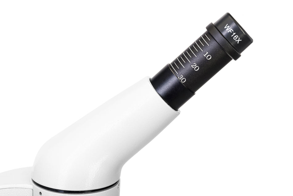 Microscopio digital Levenhuk Rainbow D50L PLUS 2M, Moonstone\Piedra de Luna