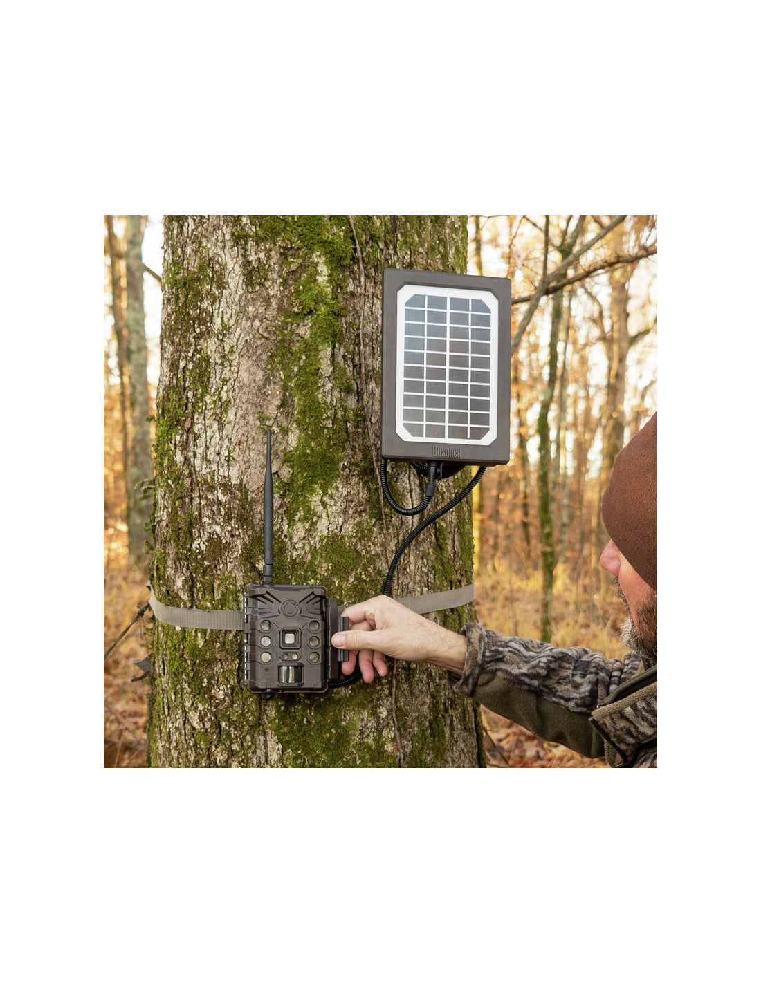 Panel solar BUSHNELL para cámara